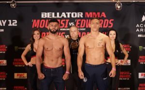 Відео бою Даглас Ліма - Костелло ван Стініс Bellator 296