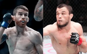 Ставки на UFC on ABC 7: Коефіцієнти на турнір Корі Сандхаген - Умар Нурмагомедов