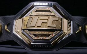 Рейтинг бійців UFC за жовтень 2023 року