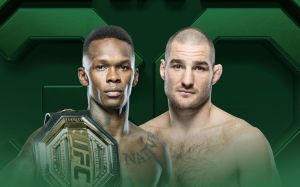Пряма трансляція UFC 293