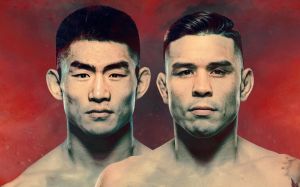 Файткард турніру UFC Fight Night 223