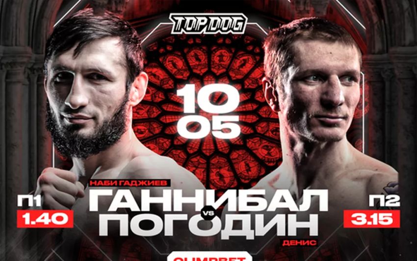 Пряма трансляція Top Dog 36