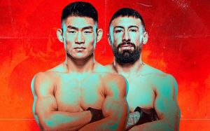 Файткард турніру UFC Fight Night 233