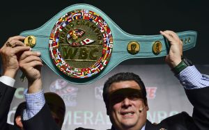 WBC санкціонував бій між Шакуром Стівенсоном та Ісааком Крусом