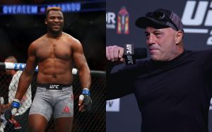Джо Роган прокоментував відхід Френсіса Нганну в PFL: "Це мене бісить"