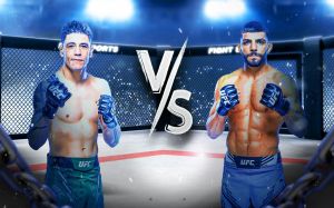 UFC Fight Night 246. Дивитися онлайн прямий ефір