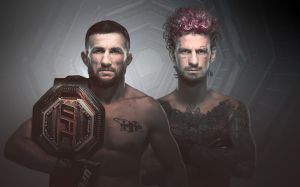 Пряма трансляція UFC 316