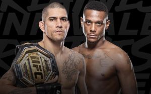 Файткард турніру UFC 300