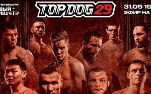 Пряма трансляція Top Dog 29