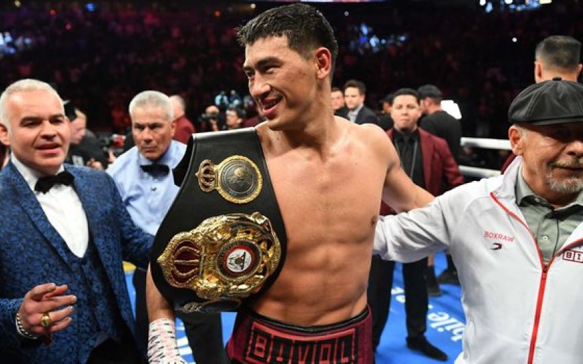 Бівола визнано "Боксером року" за версією WBA