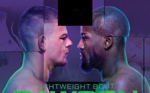Результати турніру UFC Fight Night 229