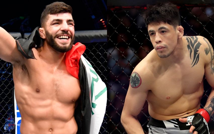 Де дивитися UFC Fight Night 246: Брендон Морено - Амір Альбазі
