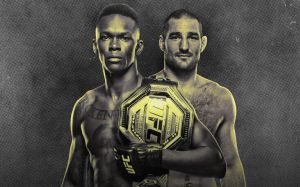 Файткард турніру UFC 293