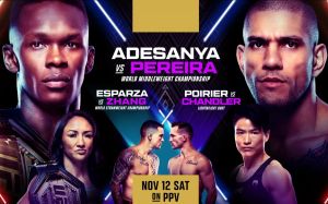 Файткард турніру UFC 281