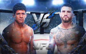 UFC Fight Night 242. Дивитися онлайн прямий ефір
