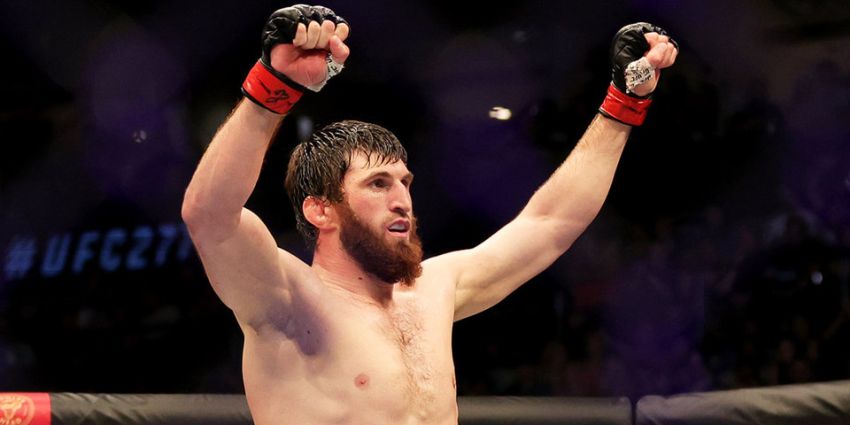 Тренер Анкалаєва: "Ми залишимося в UFC і заберемо своє"