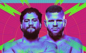 Пряма трансляція UFC Fight Night 239