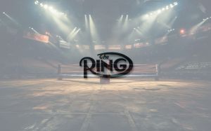 Рейтинг боксерів P4P від The Ring за листопад 2023 року