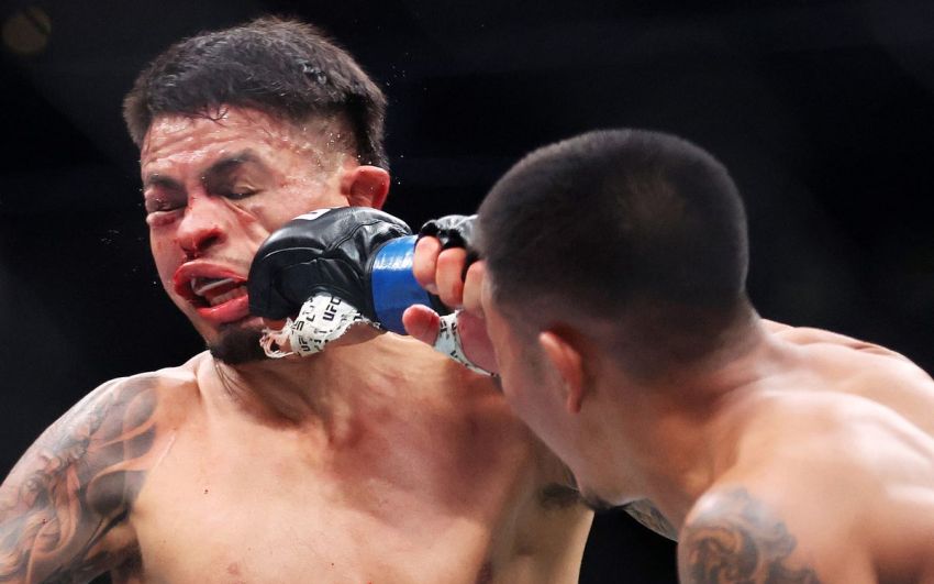 Відео бою Джошуа Ван - Брендон Ройвал UFC 317