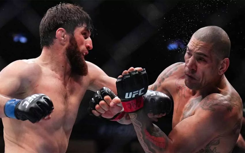 Анкалаєв - Перейра: Головні новини UFC, передісторія та прогноз реваншу