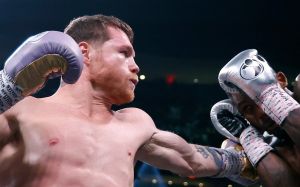 Олександр Гвоздик прокоментував перемогу Альвареса над Чарло