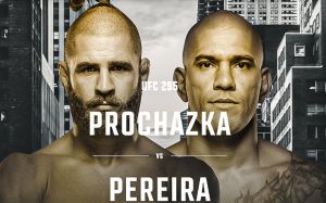 Файткард турніру UFC 295
