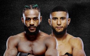 Пряма трансляція UFC Fight Night 274