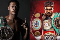 У WBO назвали умови для бою Девін Хейні - Теофімо Лопес