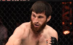 Магомед Ісмаїлов вважає Анкалаєва чемпіоном UFC: "Не знаю, куди дивилися судді, але грабувати вони вміють"