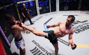 Усман Нурмагомедов "задушив" Алфі Девіса в головній події турніру PFL Dubai