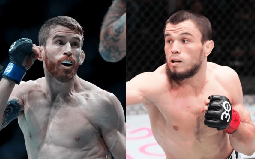 Ставки на UFC on ABC 7: Коефіцієнти на турнір Корі Сандхаген - Умар Нурмагомедов