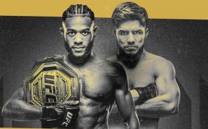 Файткард турніру UFC 288