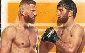 Файткард турніру UFC 282