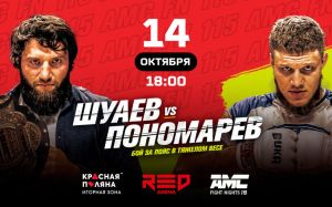 Пряма трансляція AMC Fight Nights 115