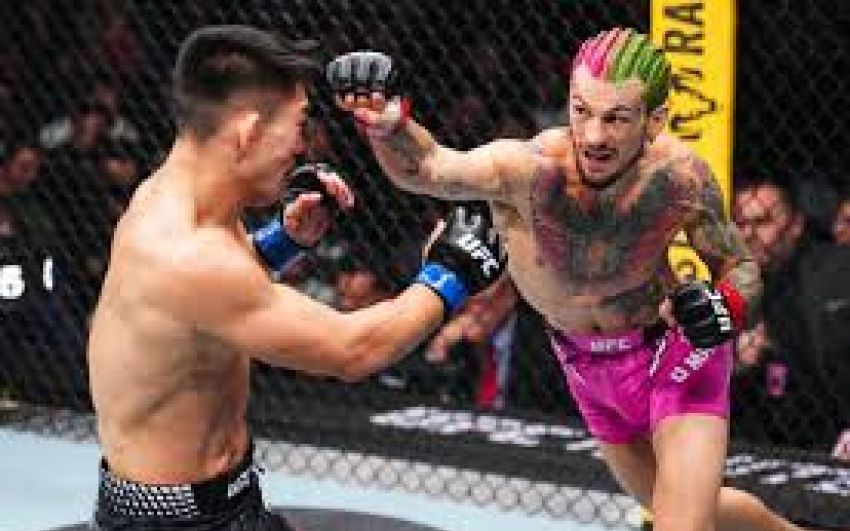 Шон О'Меллі здобув непросту перемогу над Сонгом Ядонгом на UFC 324