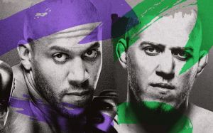 Файткард турніру UFC Fight Night 226