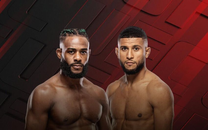 UFC Fight Night 274. Дивитися онлайн прямий ефір