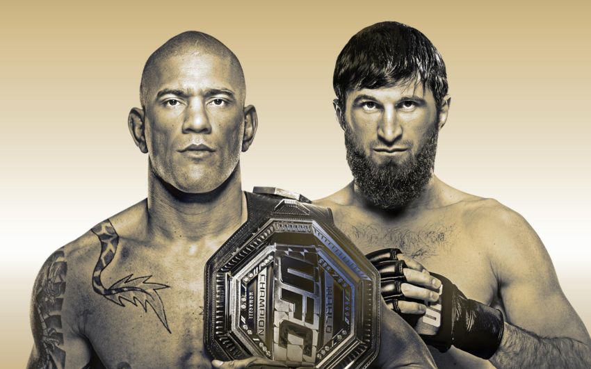 Пряма трансляція UFC 313